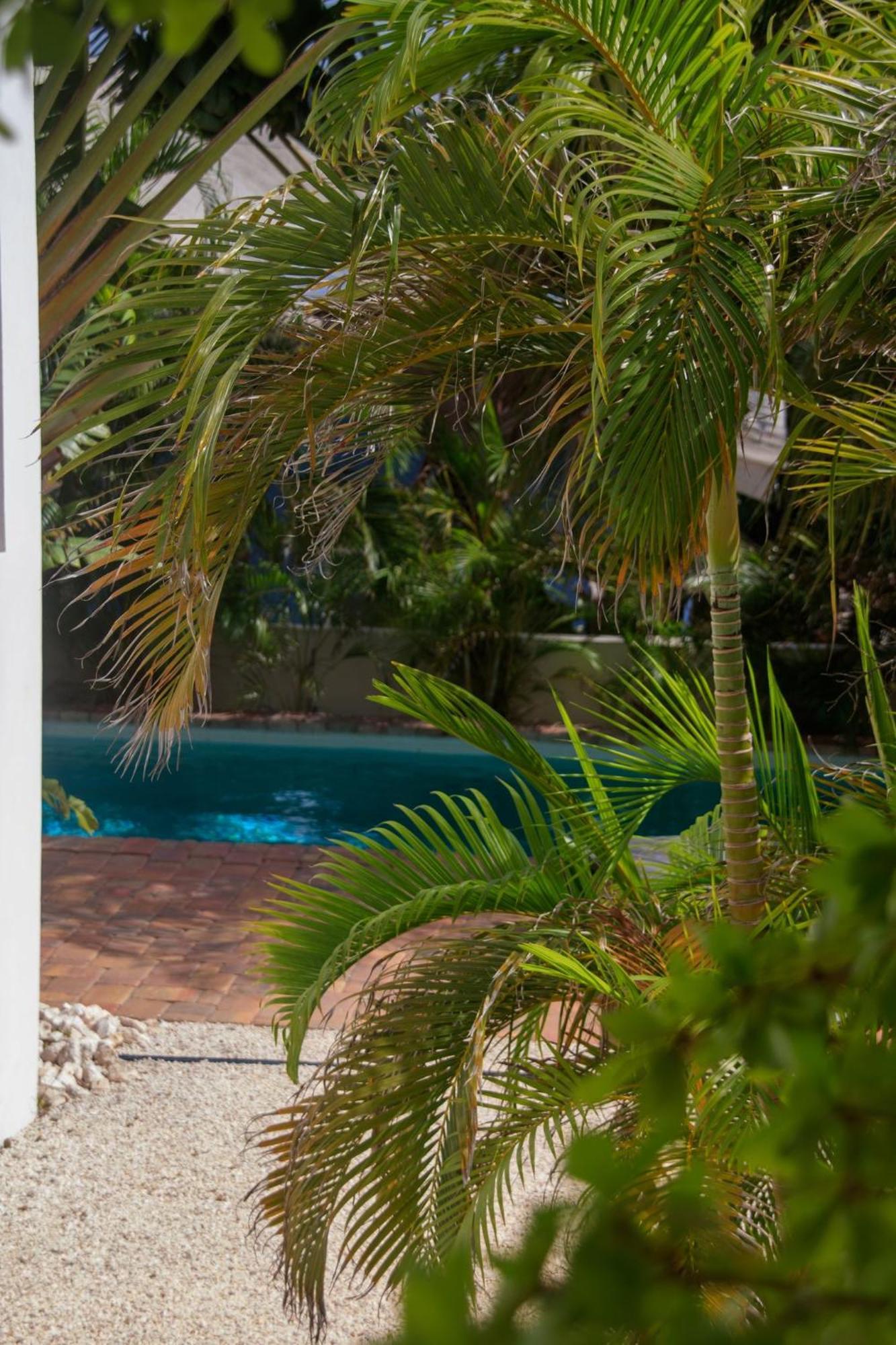 Major. Suites Curacao Willemstad Exteriör bild
